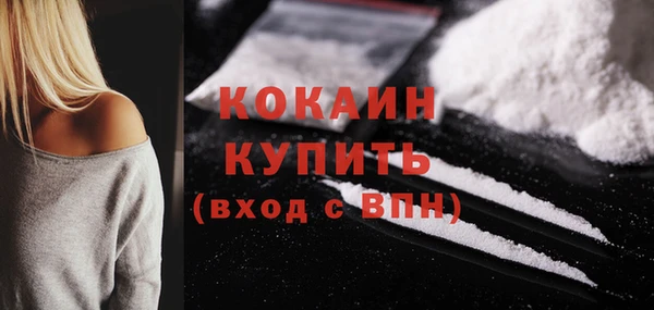 гидра Новозыбков