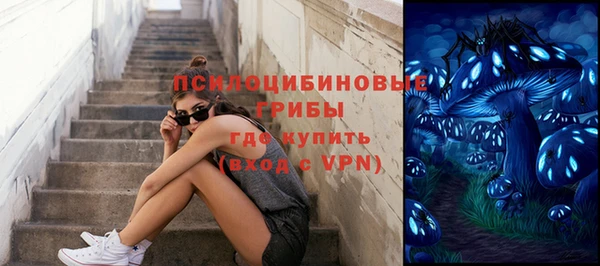 спиды Новокубанск