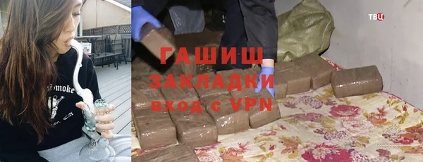 гидра Новозыбков