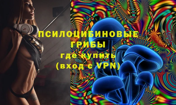 a pvp Почеп