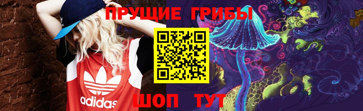 Псилоцибиновые грибы Psilocybine cubensis Соликамск