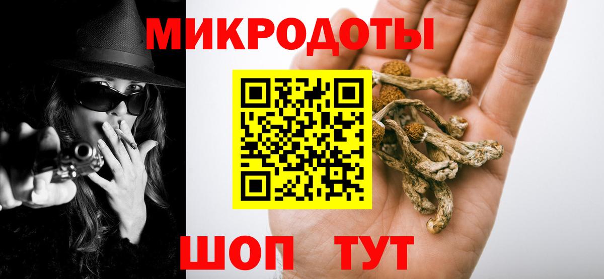 Галлюциногенные грибы Psilocybine cubensis Соликамск