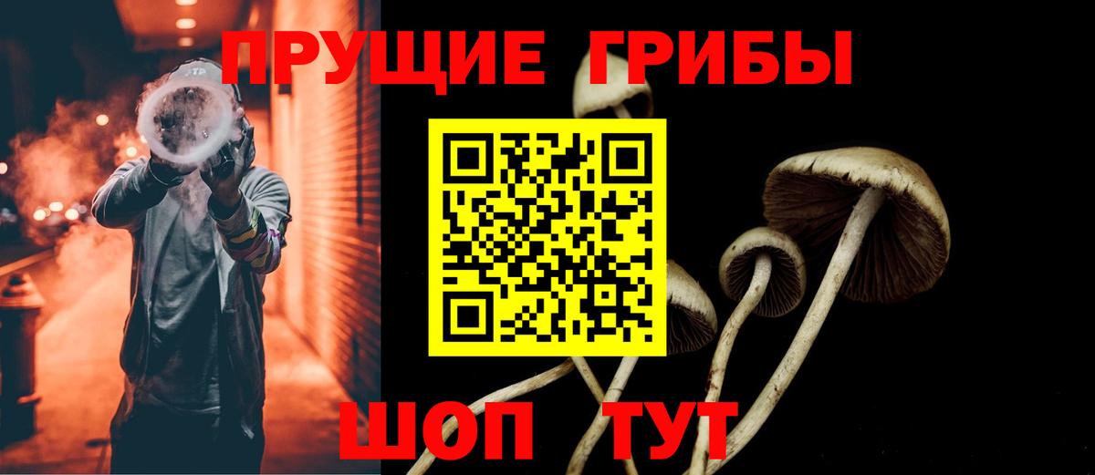 Псилоцибиновые грибы GOLDEN TEACHER  Вход с VPN  Соликамск 